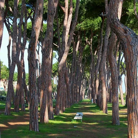 Pinetina D3 - Pineto Vacanza